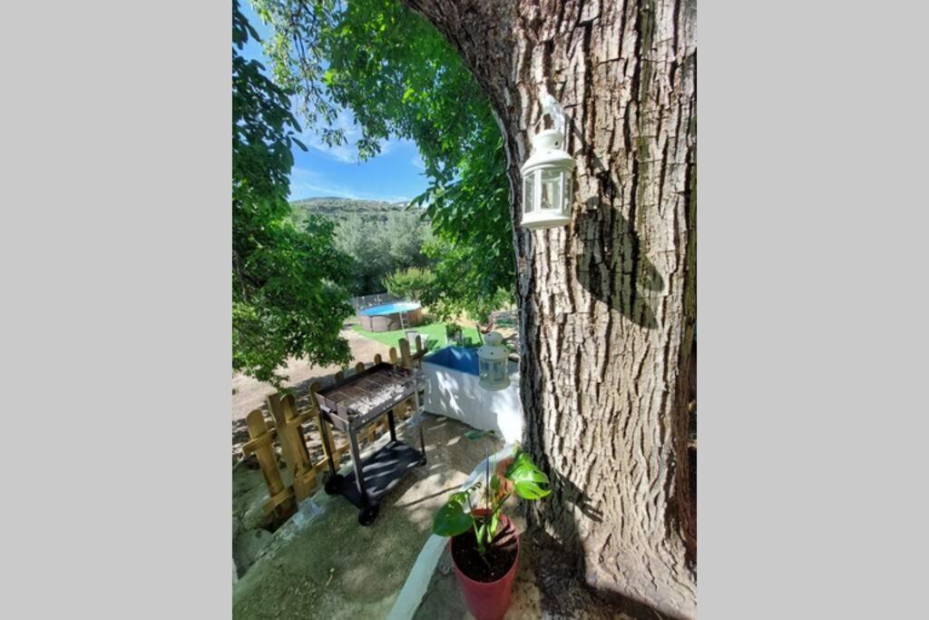 La Huerta Del Castillo Con Su Caz De Agua - Enjoy Life & Relax Castillo de Locubin Exterior photo