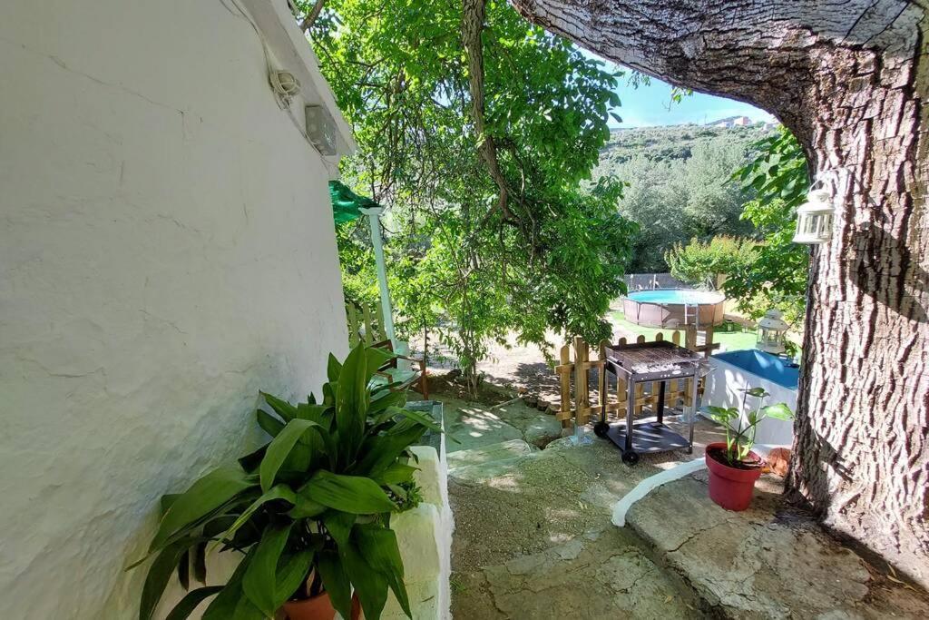 La Huerta Del Castillo Con Su Caz De Agua - Enjoy Life & Relax Castillo de Locubin Exterior photo
