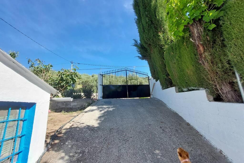 La Huerta Del Castillo Con Su Caz De Agua - Enjoy Life & Relax Castillo de Locubin Exterior photo
